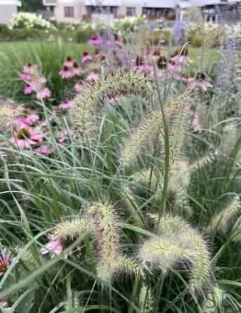 3-pokojowe mieszkanie na Białołęce