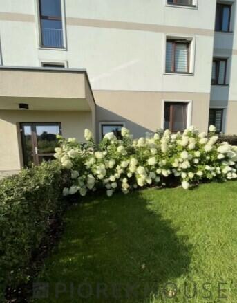 3-pokojowe mieszkanie na Białołęce