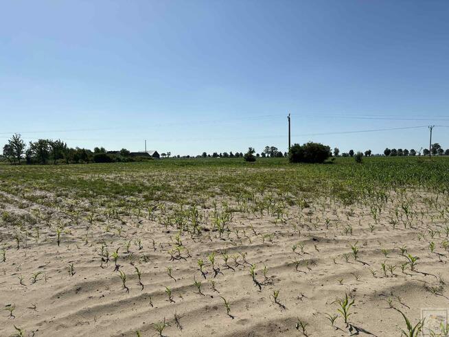 Działka budowlana Osowo Stare gm. Oborniki
