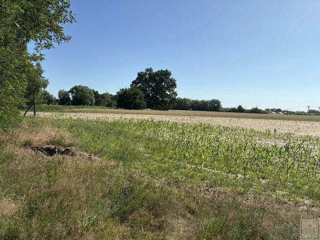 Działka budowlana Osowo Stare gm. Oborniki