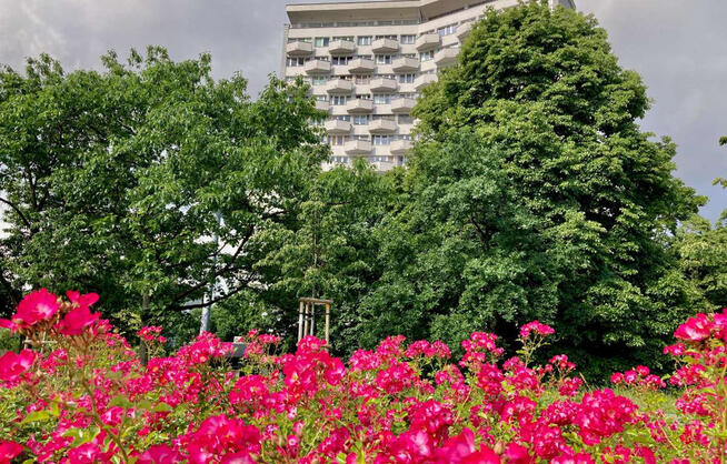 ✅Zobacz ---> 2p. na Powiślu tuż koło bulwarów✅