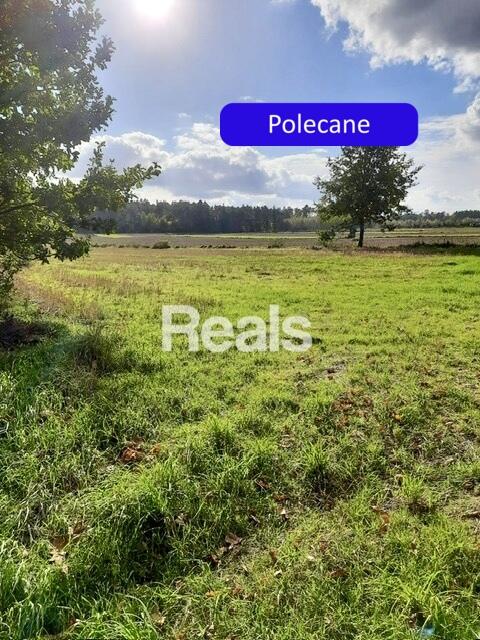 Działka Złotopolice