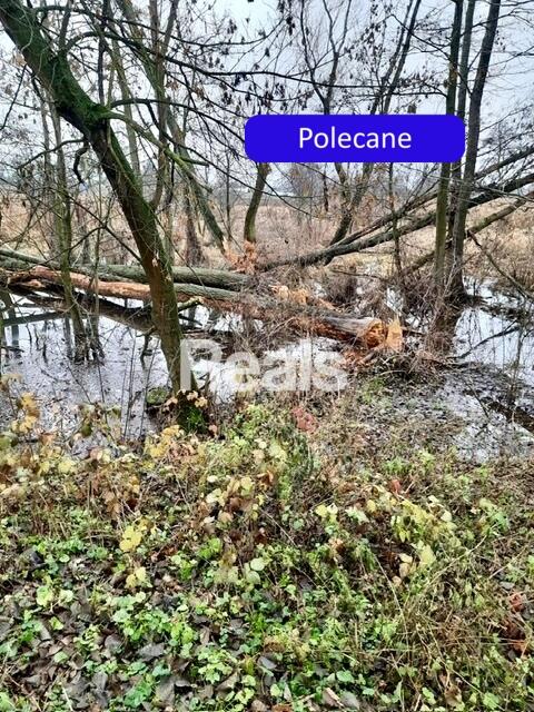 Działka Złotopolice