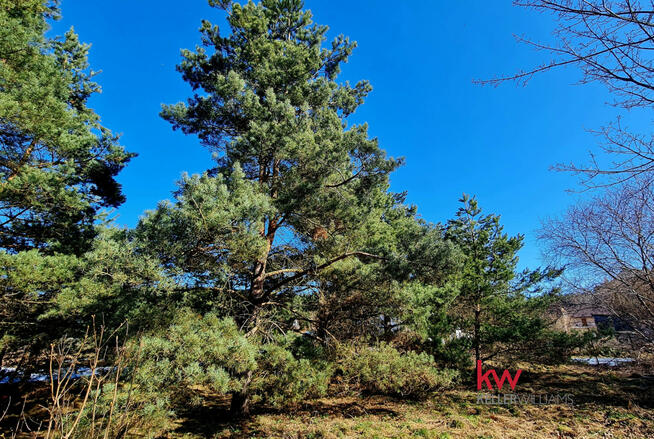 Działka budowlana Ryjewo,