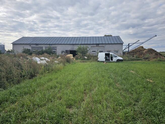 Montaz papy termozgrzewalnej Malowanie dachow Mycie dachów