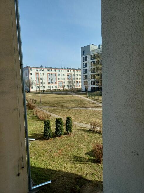 Płock, 2 pokojowe z możliwością zamieszkania „od zaraz” bez