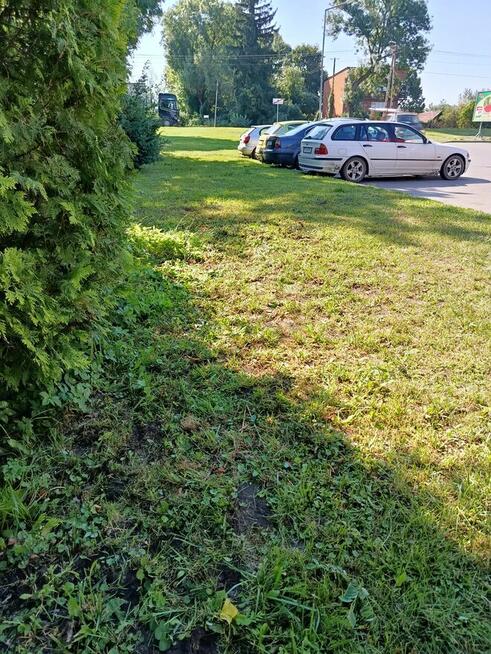 Przyjmę osobę do koszenia trawy kosą spalinowa .