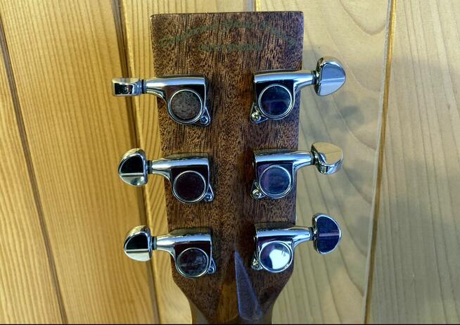 Tanglewood TPE-F-ZS.