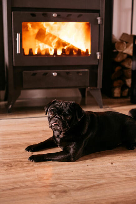 FARIE - miejsce dla grup na Mazurach