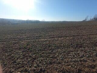 Działka rolna 1,05 ha – Niemienice – przy drodze asfaltowej