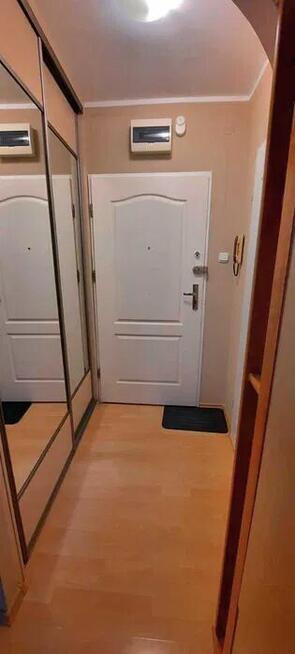 Kawalerka z wydzieloną sypialnią-zwierzęta mile widziane