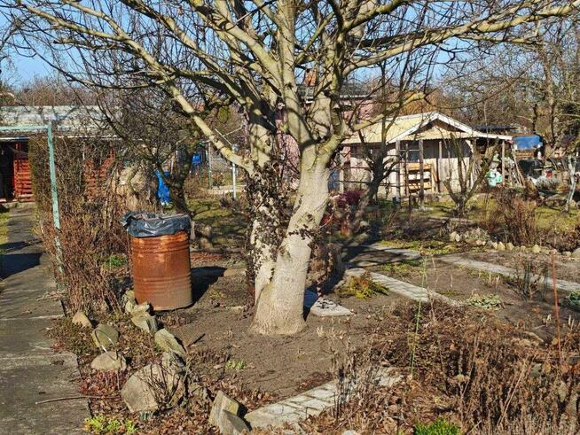 Ogródek Działkowy Działka 480m2 ROD Dobry Gospodarz