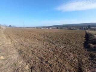 Działka rolna 1,05 ha – Niemienice – przy drodze asfaltowej