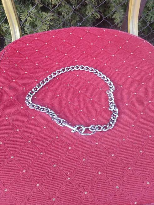 Obroża dla Psa Psów metalowa srebrna łańcuch