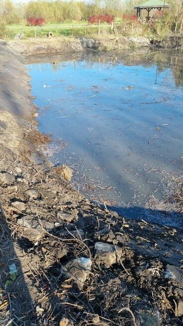 Kopanie stawów, czyszczenie stawów, odmulanie koparka long
