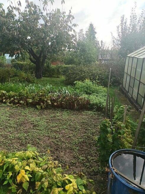 Sprzedam działkę ROD – Ełk / ROD „Sasanka”, Konieczki