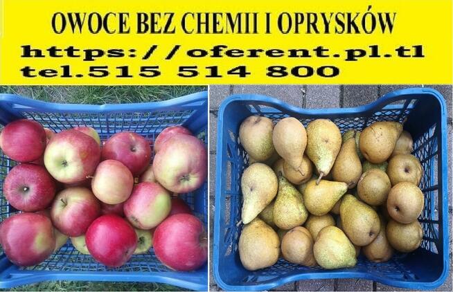 Fartuchy Pracownicze Firmy RATES