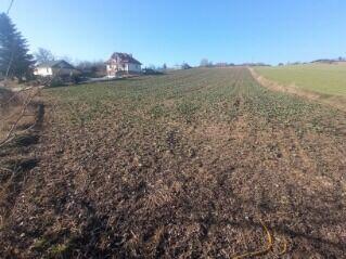 Działka rolna 1,05 ha – Niemienice – przy drodze asfaltowej