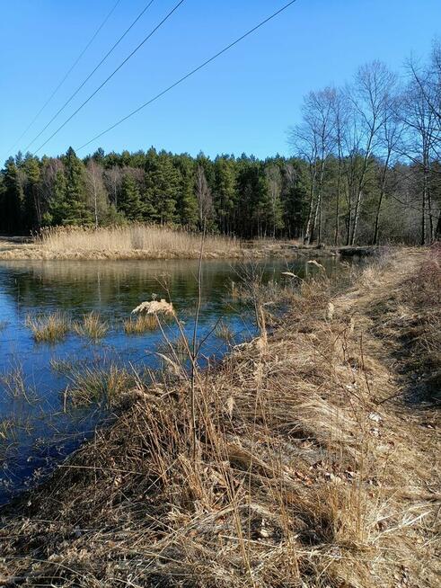 Koparka długie ramie czyszczenie stawów