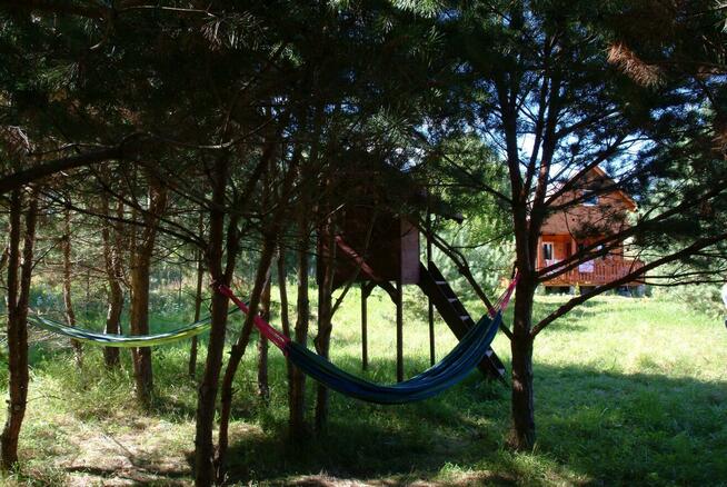 Wynajmę domek letniskowy w Debrznie nad jeziorem