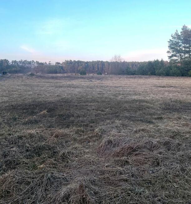 Duża działka 1,29 ha z domem w budowie