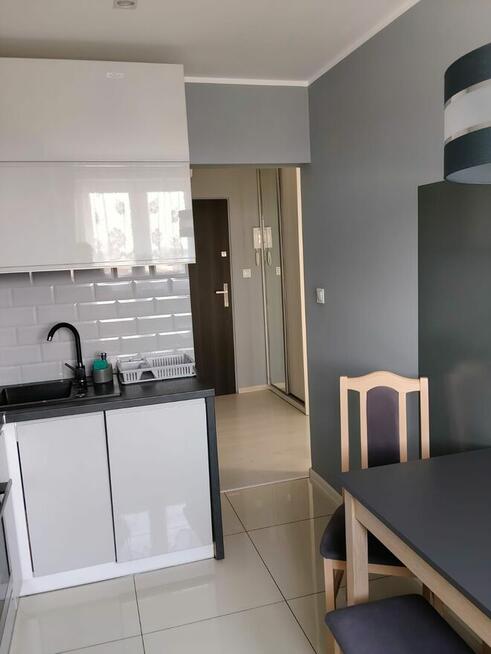 Mieszkanie do wynajęcia