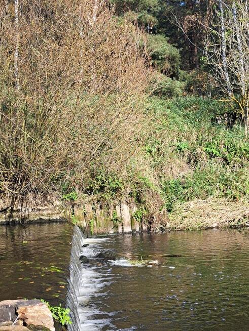 Działka budowlana w pięknym krajobrazie przyrody