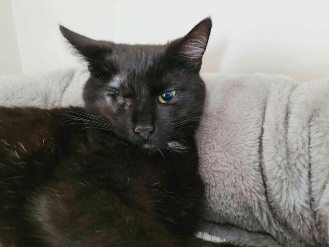 Cudna Hanusia wypatruje domku pełnego miłości!