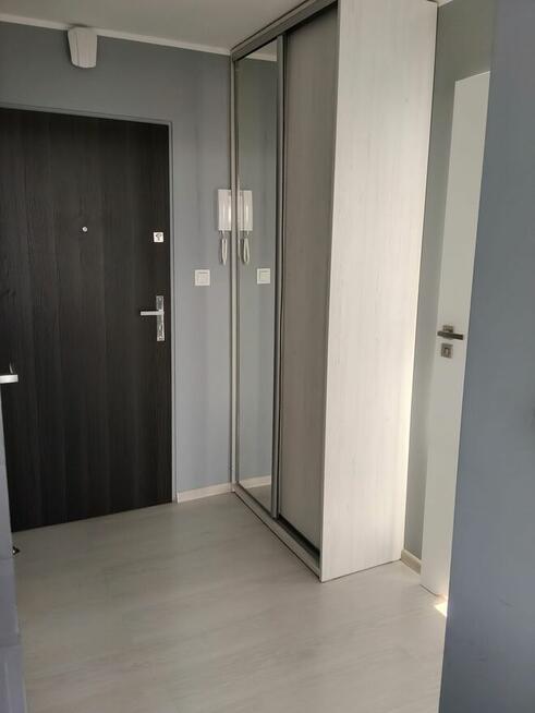 Mieszkanie do wynajęcia