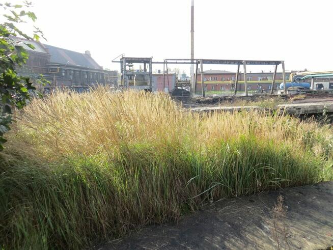 LINIA PRODUKCYJNA NA SPRZEDAŻ