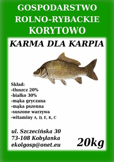 Karma pasza dla ryb karp koi pstrąg jesiotr