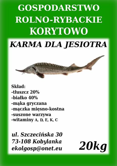 Karma pasza dla ryb karp koi pstrąg jesiotr