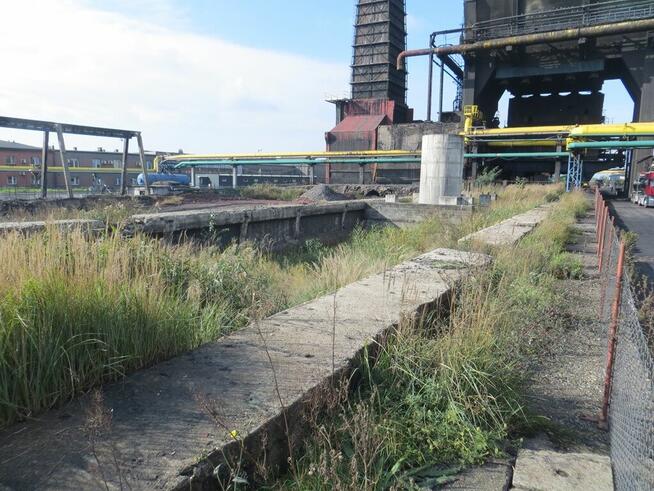 LINIA PRODUKCYJNA NA SPRZEDAŻ