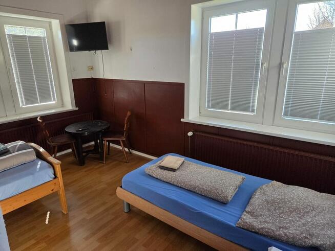 Praca przy zbiorach w Niemczech