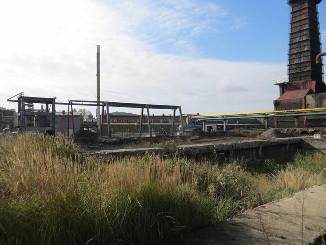 LINIA PRODUKCYJNA NA SPRZEDAŻ