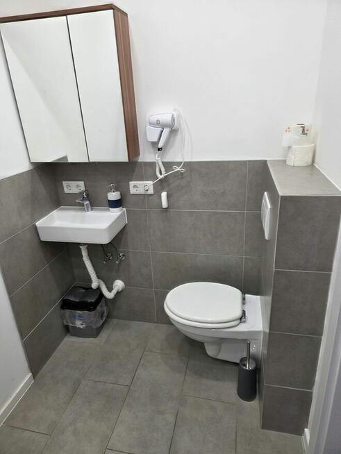 Praca przy zbiorach w Niemczech