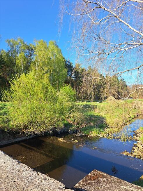 Działka budowalna obok lasu , rzeki Nidy Oksa