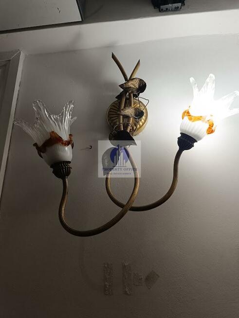 Lokal użytkowy Warszawa Praga-Północ, Ząbkowska