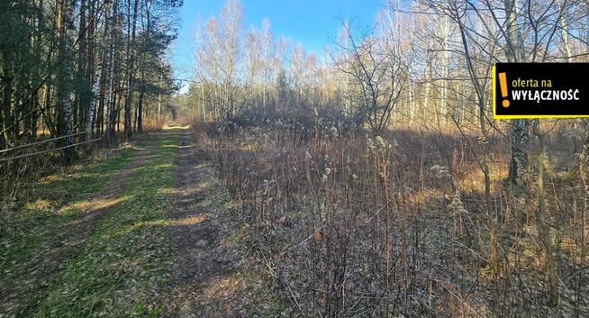 Działka inwestycyjna Grabowa gm. Łubnice,