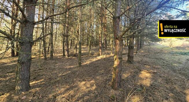 Działka inwestycyjna Grabowa gm. Łubnice,