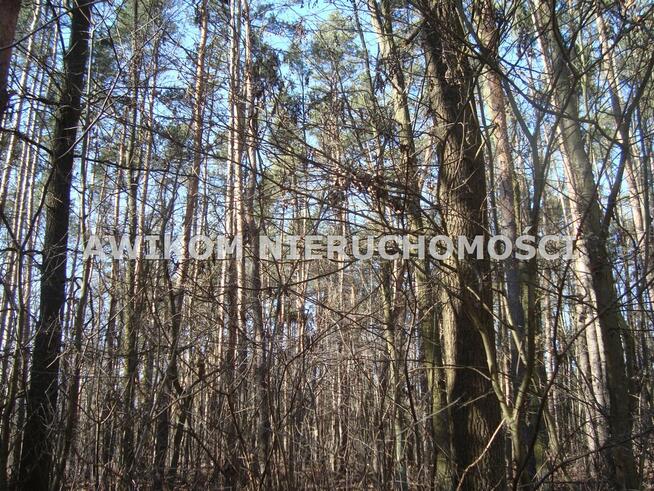 Działka budowlana Książenice gm. Grodzisk Mazowiecki