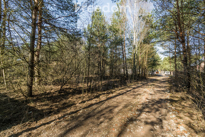 Działka 2000 m² Łoś k. Piaseczna