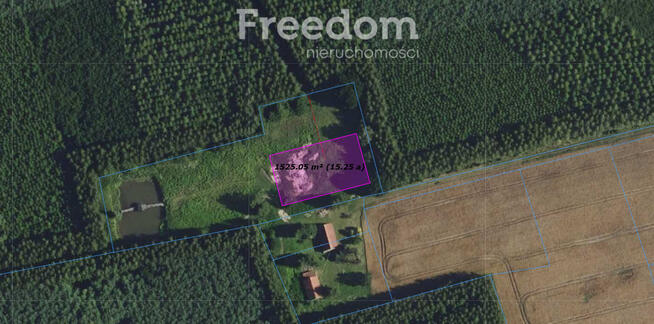 Działka ze stawem otoczona lasem Warmia Mazury