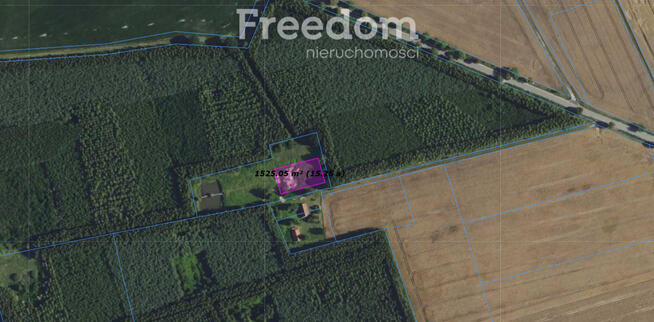 Działka ze stawem otoczona lasem Warmia Mazury