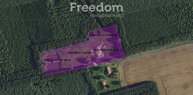 Działka ze stawem otoczona lasem Warmia Mazury