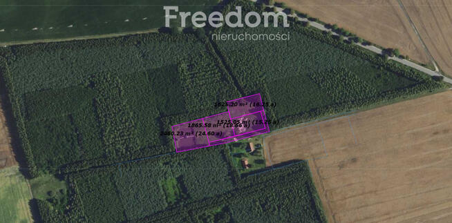 Działka ze stawem otoczona lasem Warmia Mazury