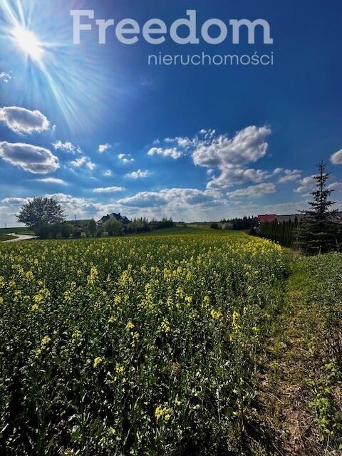 Działka w spokojnej okolicy w Lisewie