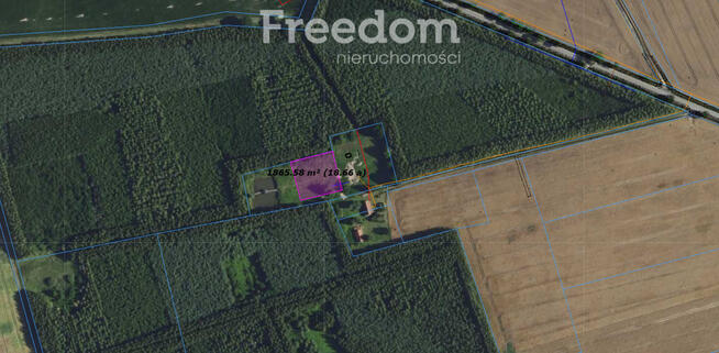 Działka ze stawem otoczona lasem Warmia Mazury