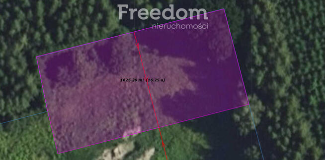 Działka ze stawem otoczona lasem Warmia Mazury