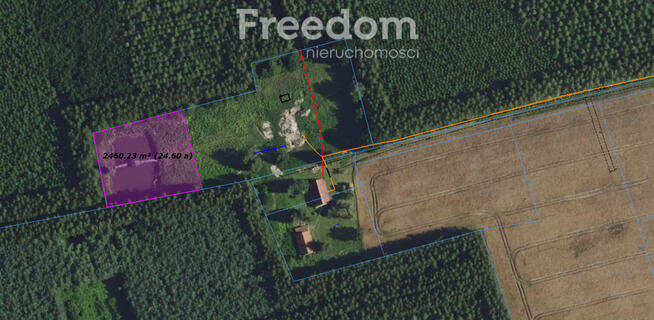 Działka ze stawem otoczona lasem Warmia Mazury